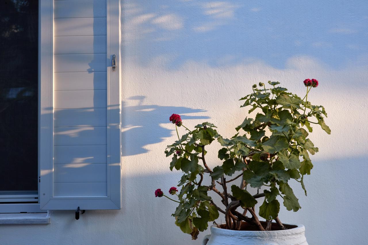 Mykonos Town Suites エクステリア 写真